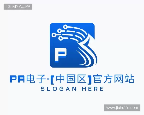 认识PA电子