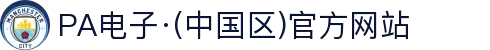 PA电子·(中国区)官方网站
