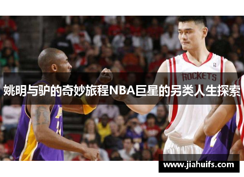 姚明与驴的奇妙旅程NBA巨星的另类人生探索